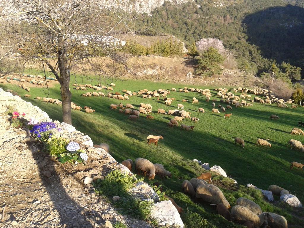 Ferme De Sejour Rebuffel Vila La Roque-Esclapon Exterior foto